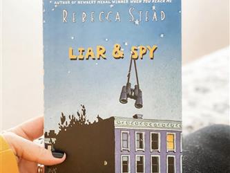 Liar & Spy book
